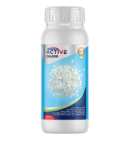 VIGANCIA ACTIVE CALBOR